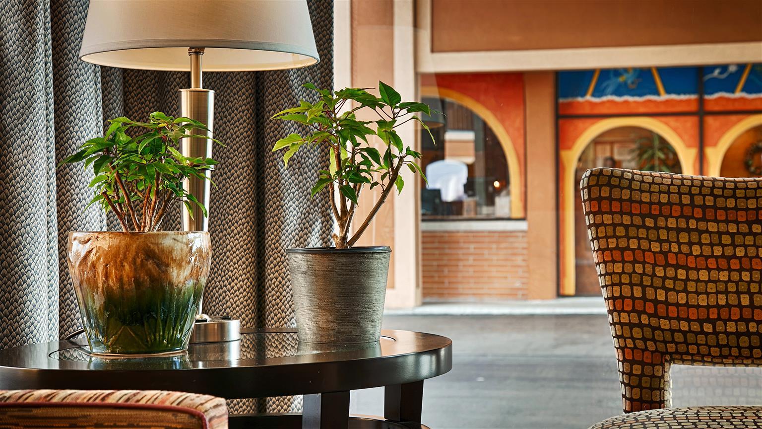 Best Western Thunderbird Motel Cookeville Luaran gambar